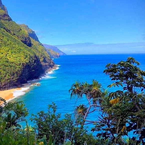 Meet your Posher, Michele - Picture 2 of 2